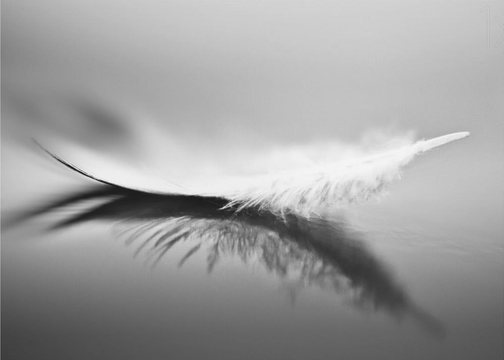 White | Poster