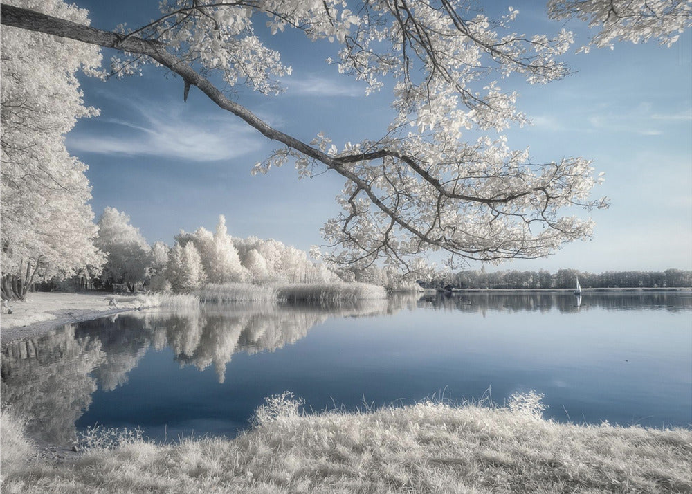 IRenkowo | Valokuvatapetit