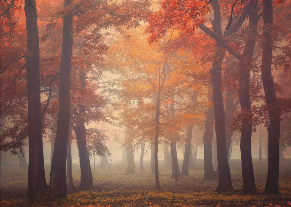 Tunne | Julisteet - Taidevedokset