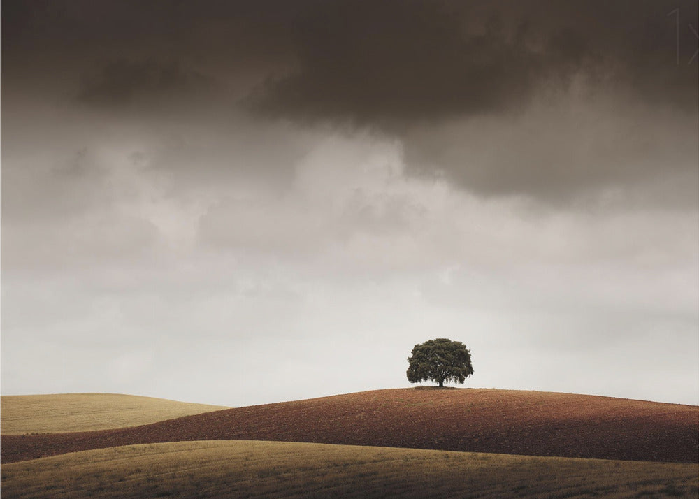 Minun piti pysähtyä, kun näin hänet | Valokuvatapetit