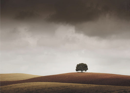 Minun piti pysähtyä, kun näin hänet | Valokuvatapetit