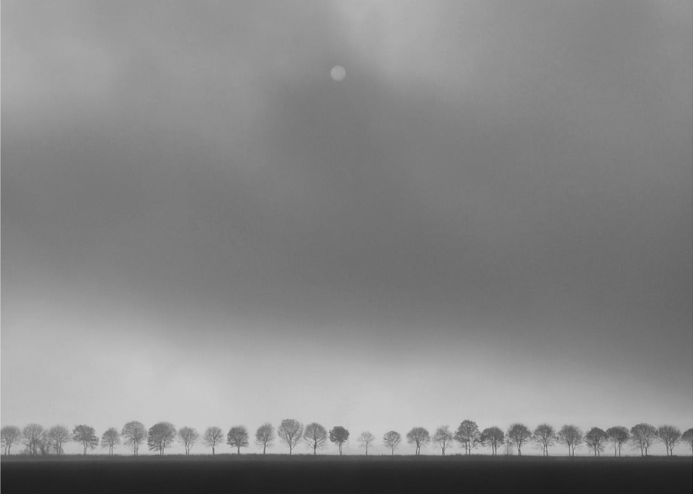 Polderin maisema | Julisteet - Taidevedokset