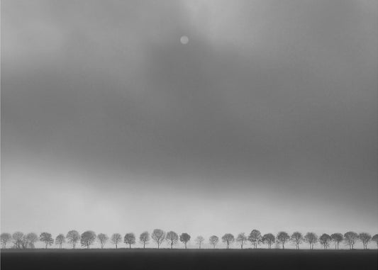 Krajobraz polderów | Plakaty - Wydruki Artystyczne