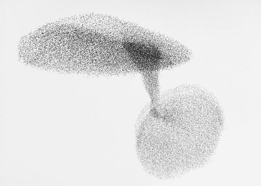 Los estorninos bailan Impresiones en Lienzo