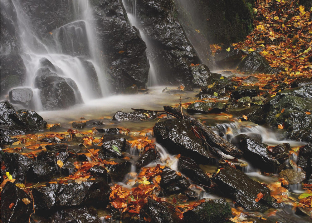 Hehkuva | Valokuvatapetit