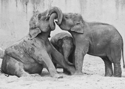 KOLMISUUNTAINEN | Julisteet - Taidevedokset