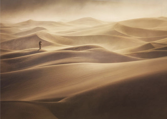 Samotny | Wydruki na łótnie