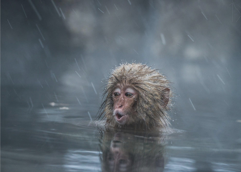 Äiti! | Julisteet - Taidevedokset