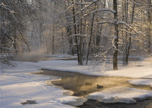 Ensimmäinen valo | Julisteet - Taidevedokset