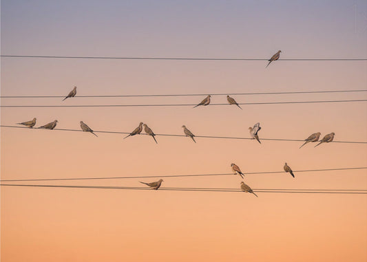 Musik des Lichts | Fototapeten