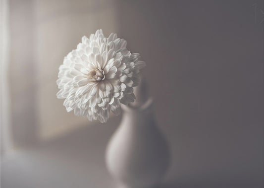 ikkunavalo | Julisteet - Taidevedokset