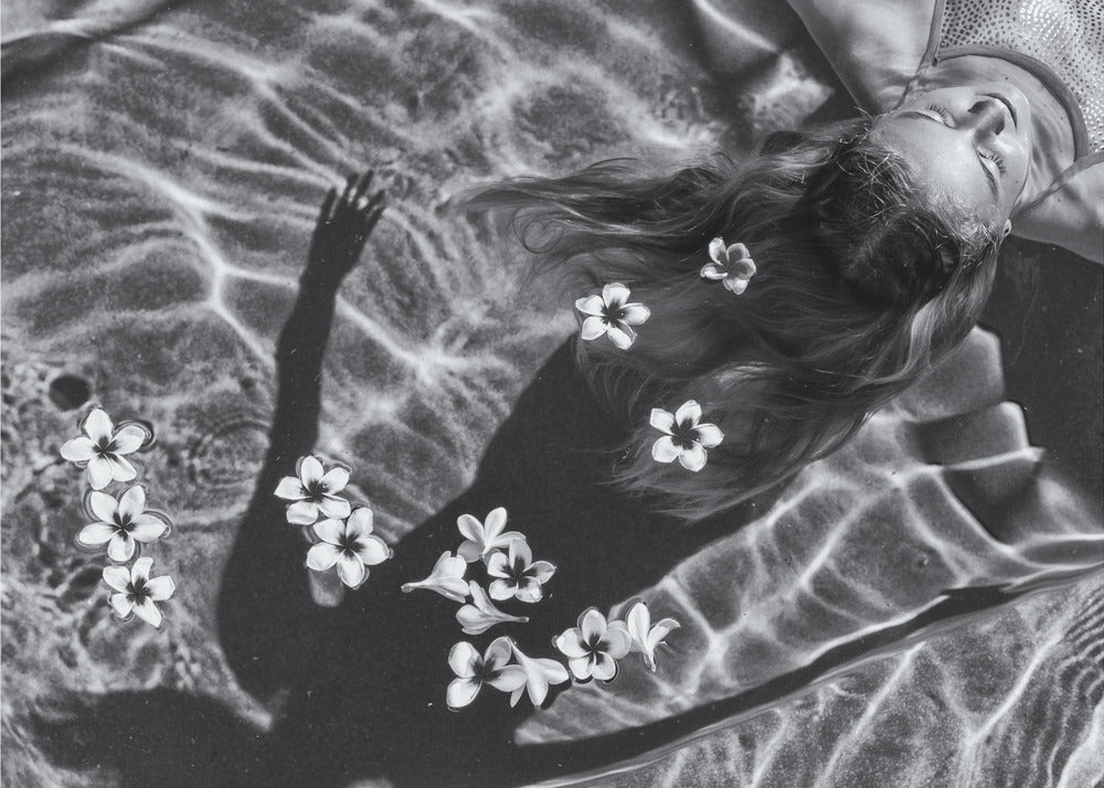 Drzewo plumerii | Wydruki na łótnie