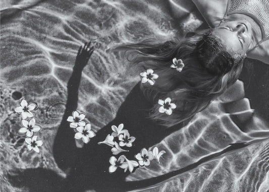 Frangipani-puu | Canvastaulut