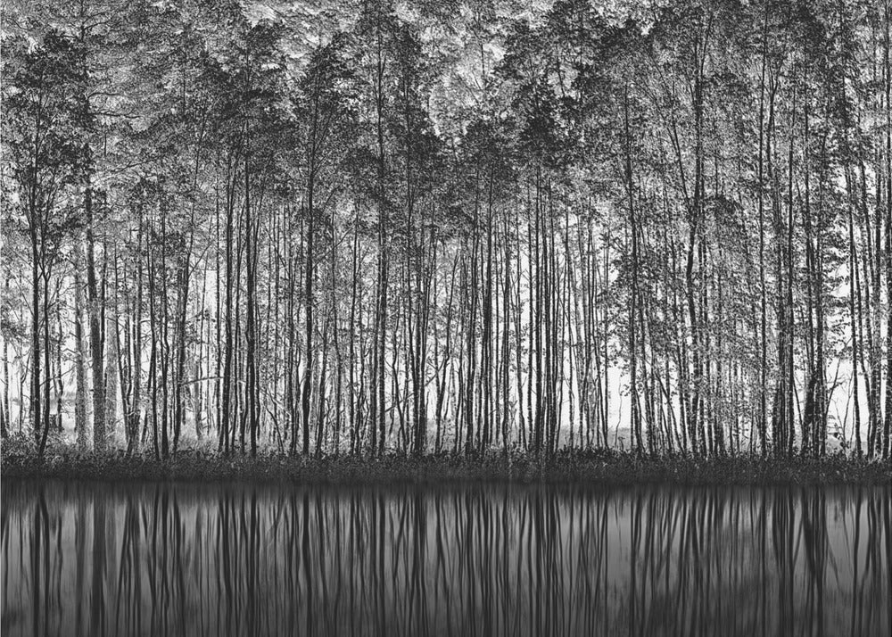 Pointillismi Luonto | Julisteet - Taidevedokset