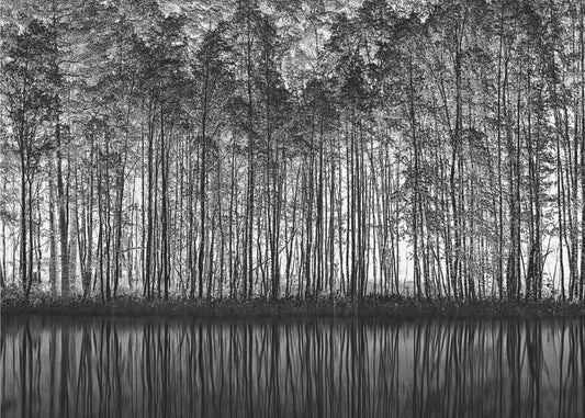 Pointillismi Luonto | Julisteet - Taidevedokset