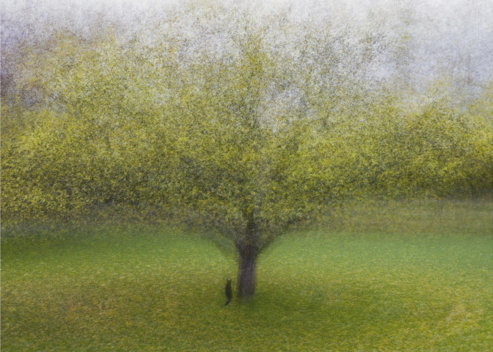 El gato junto al árbol | Posters  - Impresiones de Arte