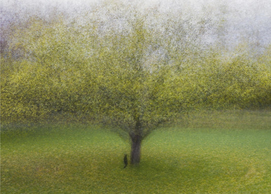 Kissa puun vieressä | Julisteet - Taidevedokset