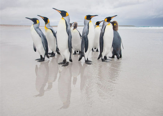 Guardaespaldas | Papel Pintado Fotográfico