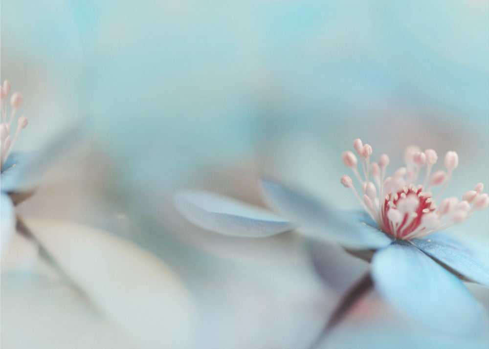 Me kaksi | Julisteet - Taidevedokset