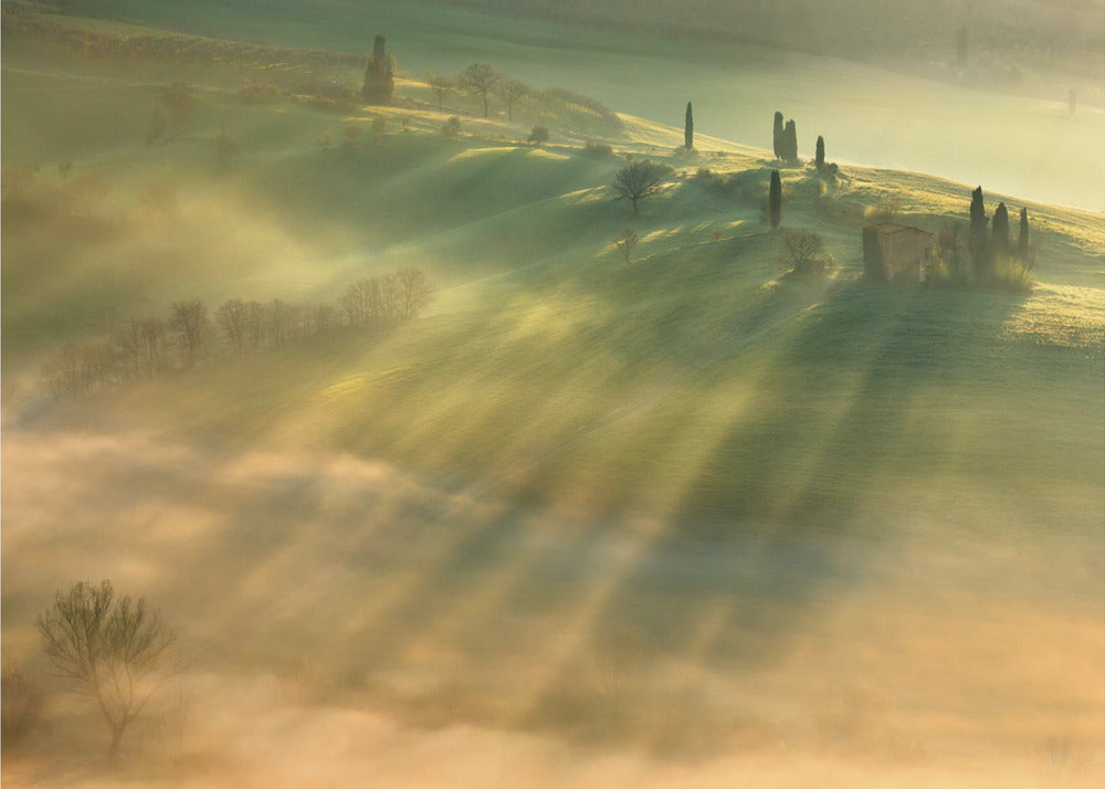 Mgła... | Fototapeta