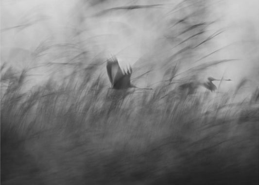 Yllättäen | Canvastaulut