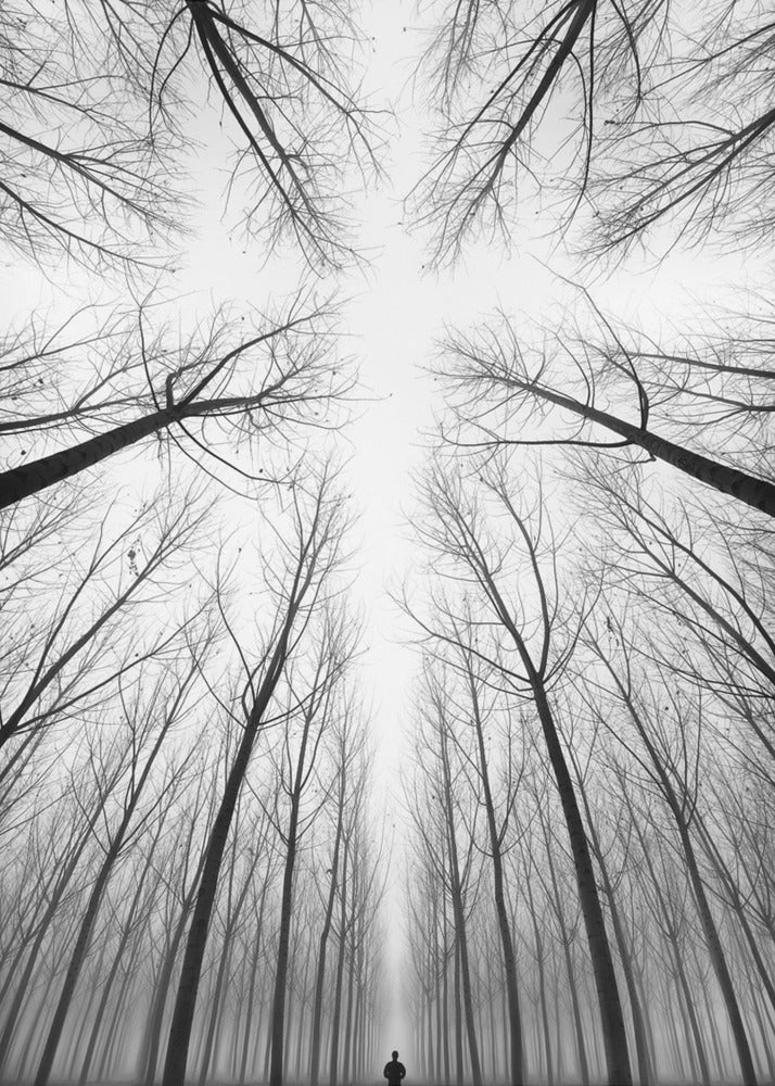 RISTIN | Canvastaulut