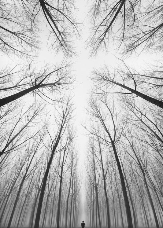 RISTIN | Canvastaulut