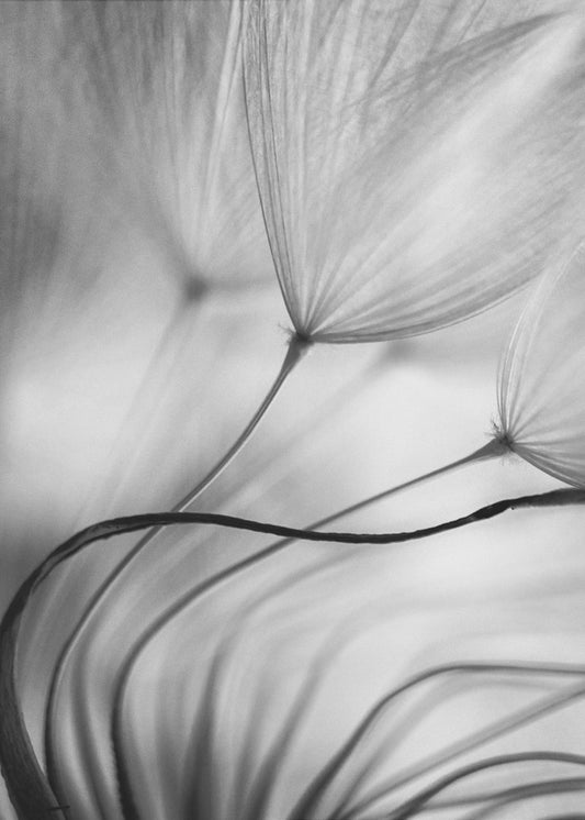 Stütze dich auf mich | Leinwand-Bilder