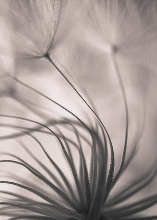 Ohne Titel | Leinwand-Bilder