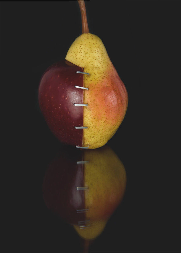 Manzana/Pera OGM II | Posters  - Impresiones de Arte