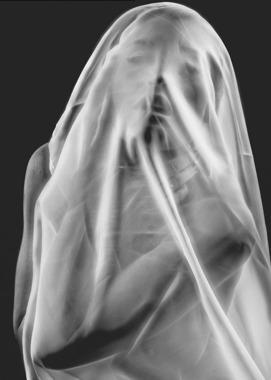 Life Behind the Veil | Poster