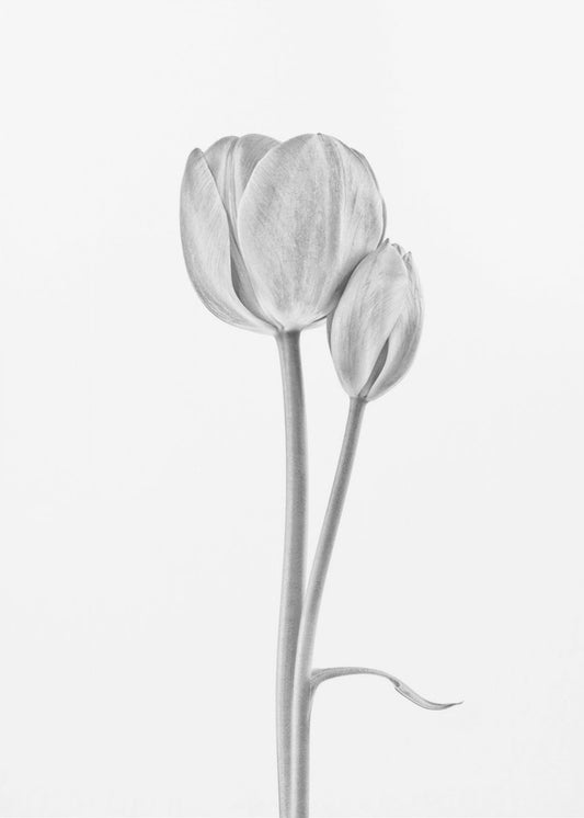 Yhdistetty | Canvastaulut