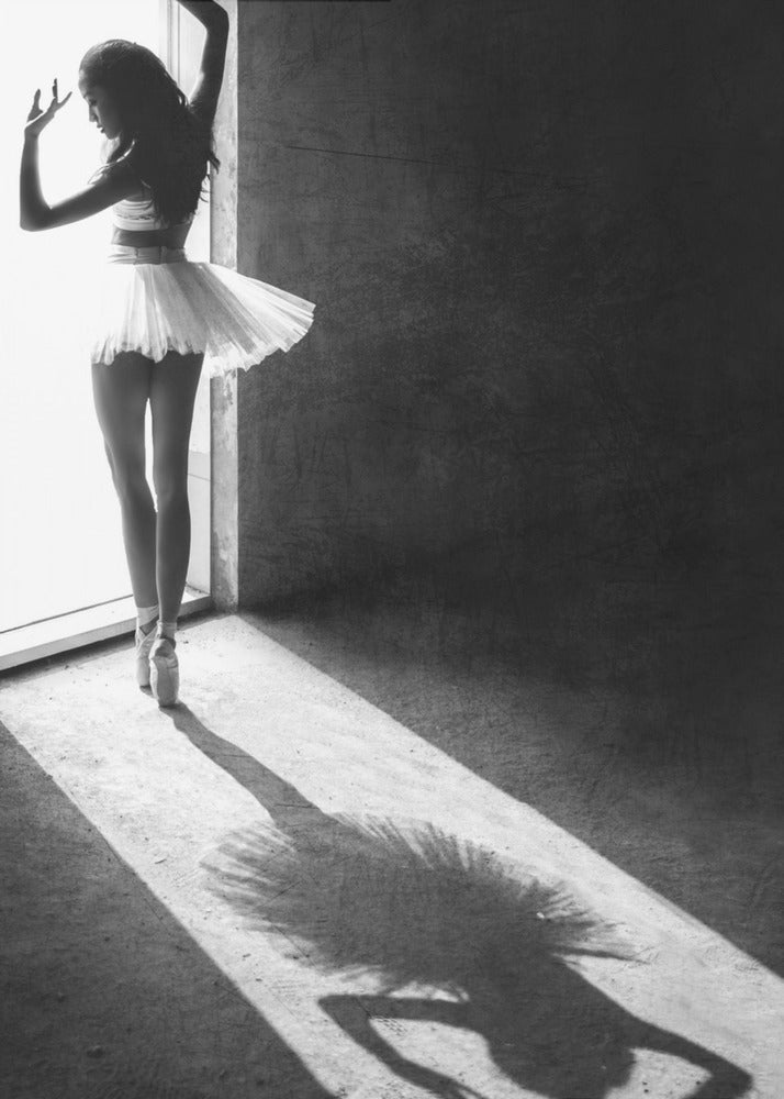 Varjotanssi | Canvastaulut