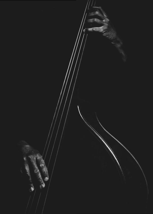 Kontrabasisti | Canvastaulut