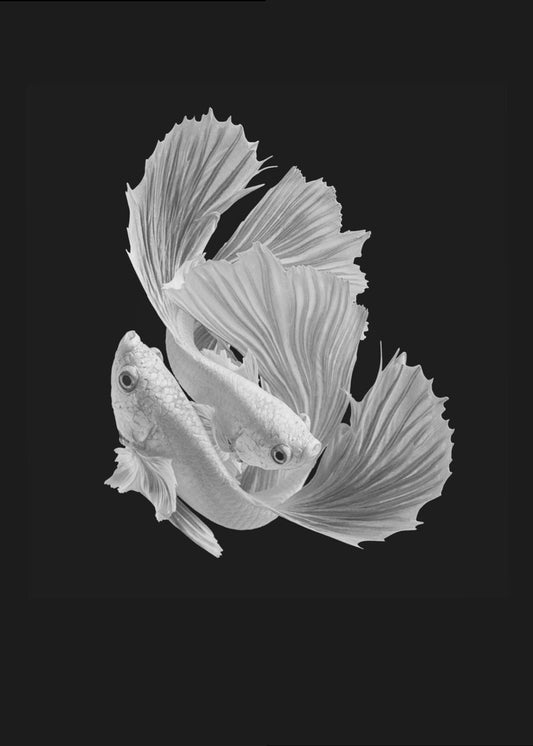 Valkoinen rakkaus | Canvastaulut