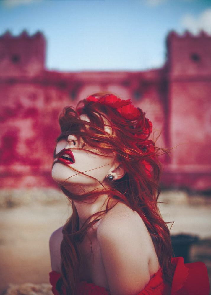 Crimson Virvelvind | Canvas