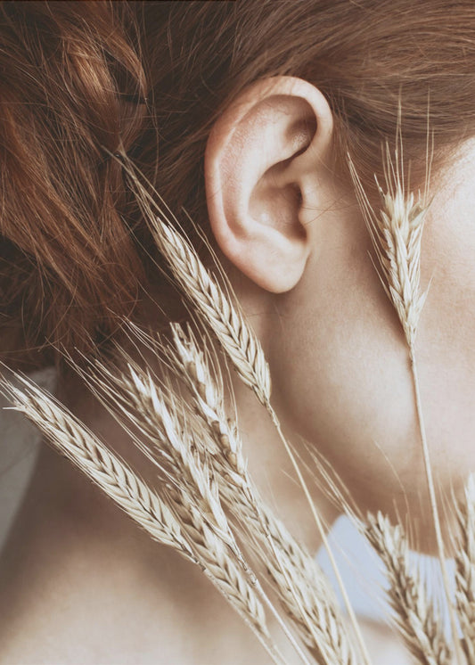 Żyto | Wydruki na łótnie