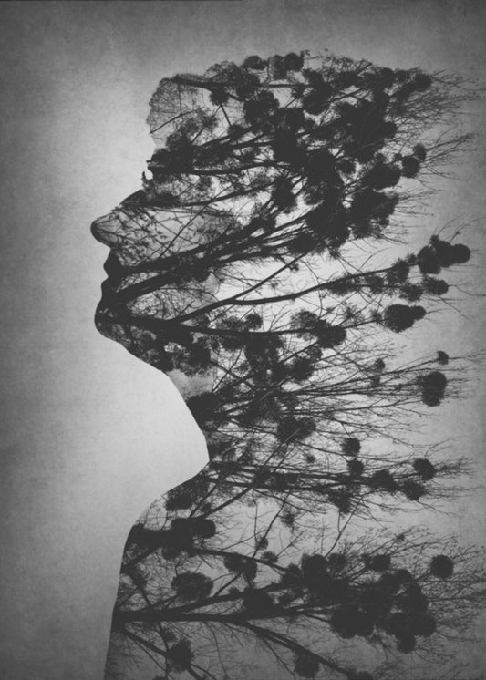 Elämän olemus | Canvastaulut