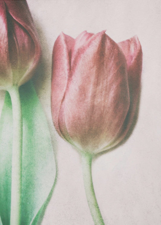 Kevään rakastavaiset | Canvastaulut