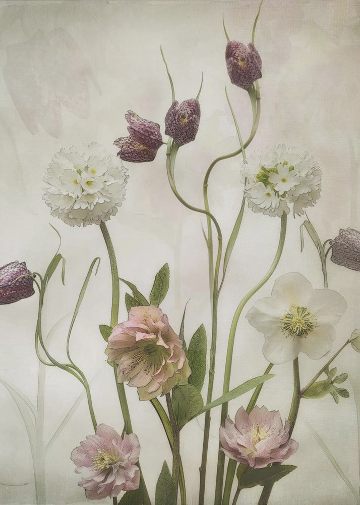 Spring Garden | Poster