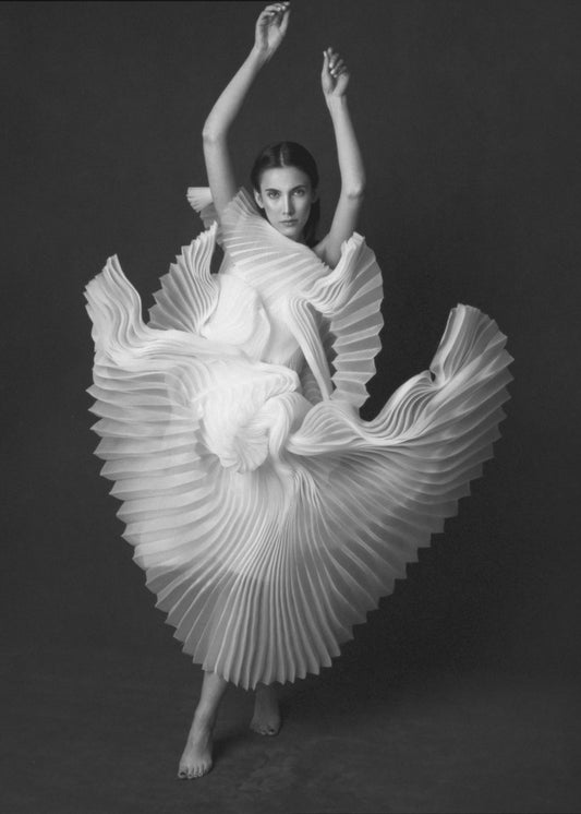 Jezioro Łabędzie | Wydruki na łótnie