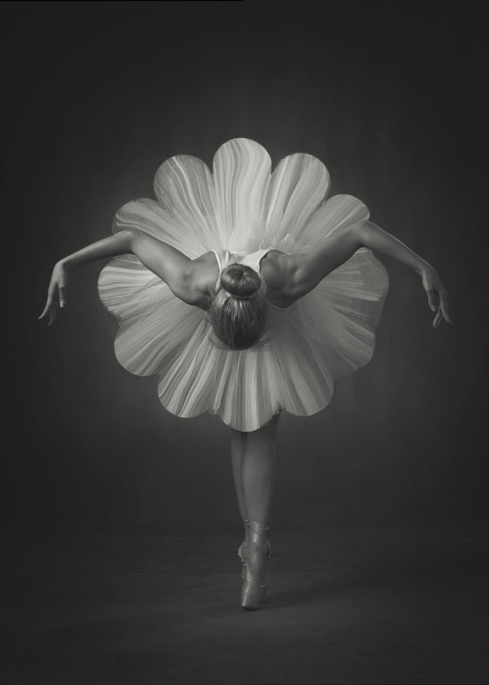 Kukkaisbaletti | Canvastaulut