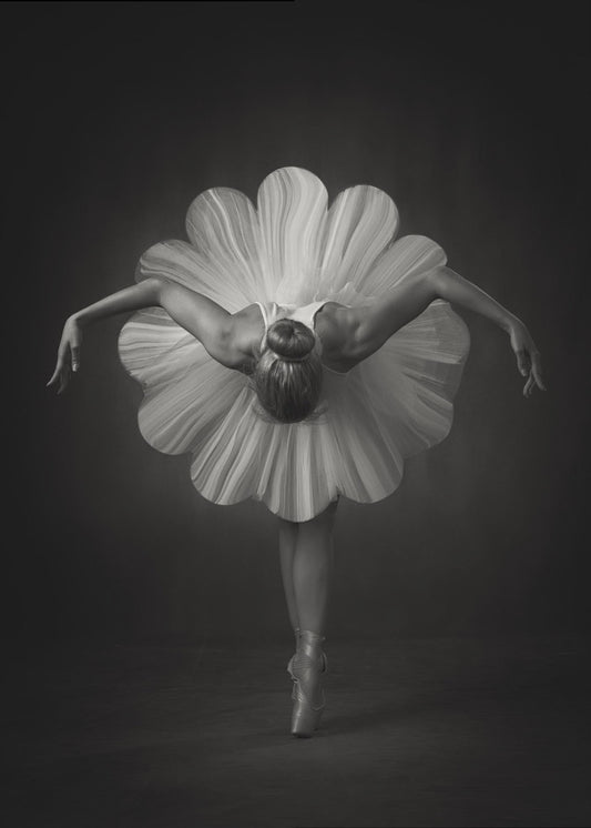 Balet Kwiatowy | Wydruki na łótnie