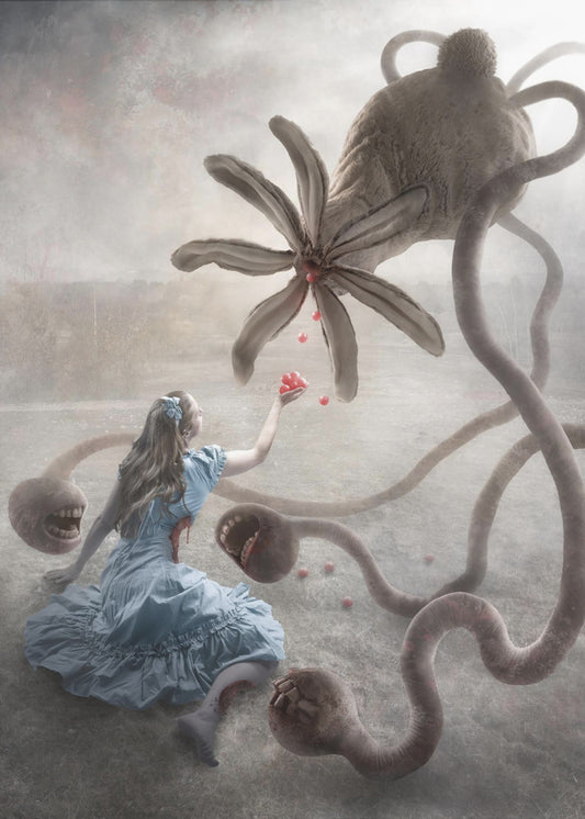 Wonderland? | Poster