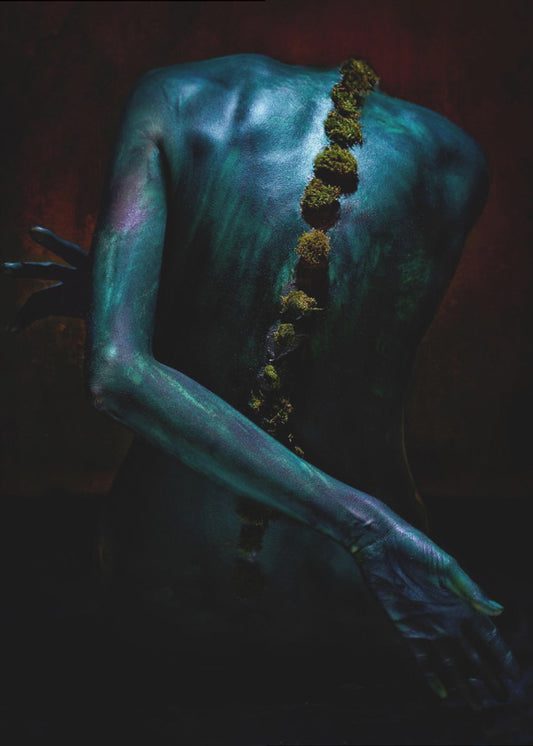 Symbiosis II | Canvas