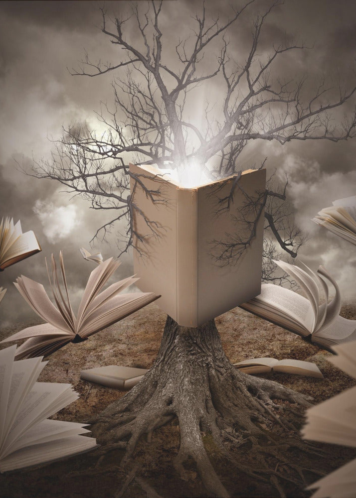 Old Tree Reading Story Book | Poster