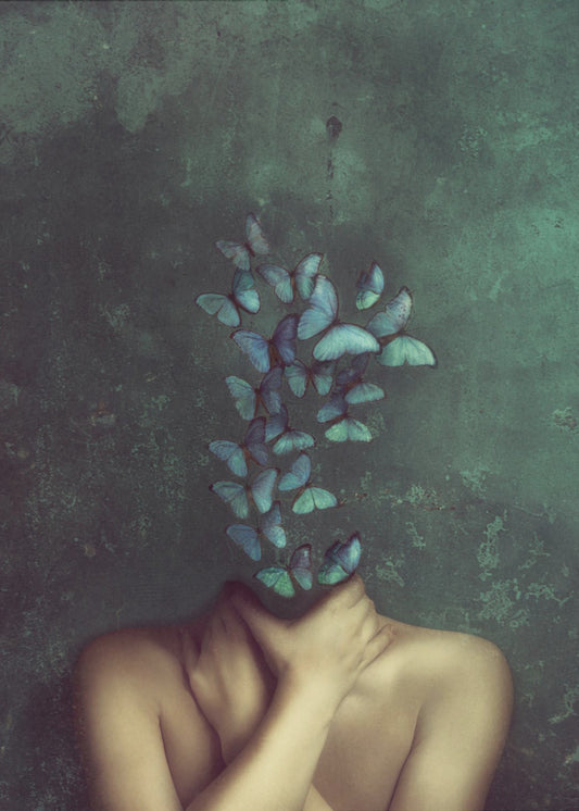 In my head butterflies | Canvas