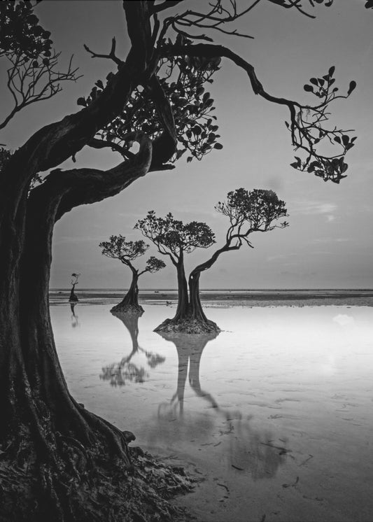 Ramkowanie | Wydruki na łótnie