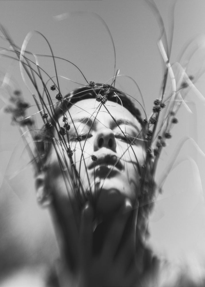 Nimetön | Canvastaulut