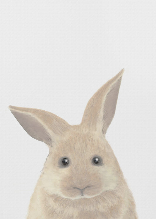 Rabbit | Poster